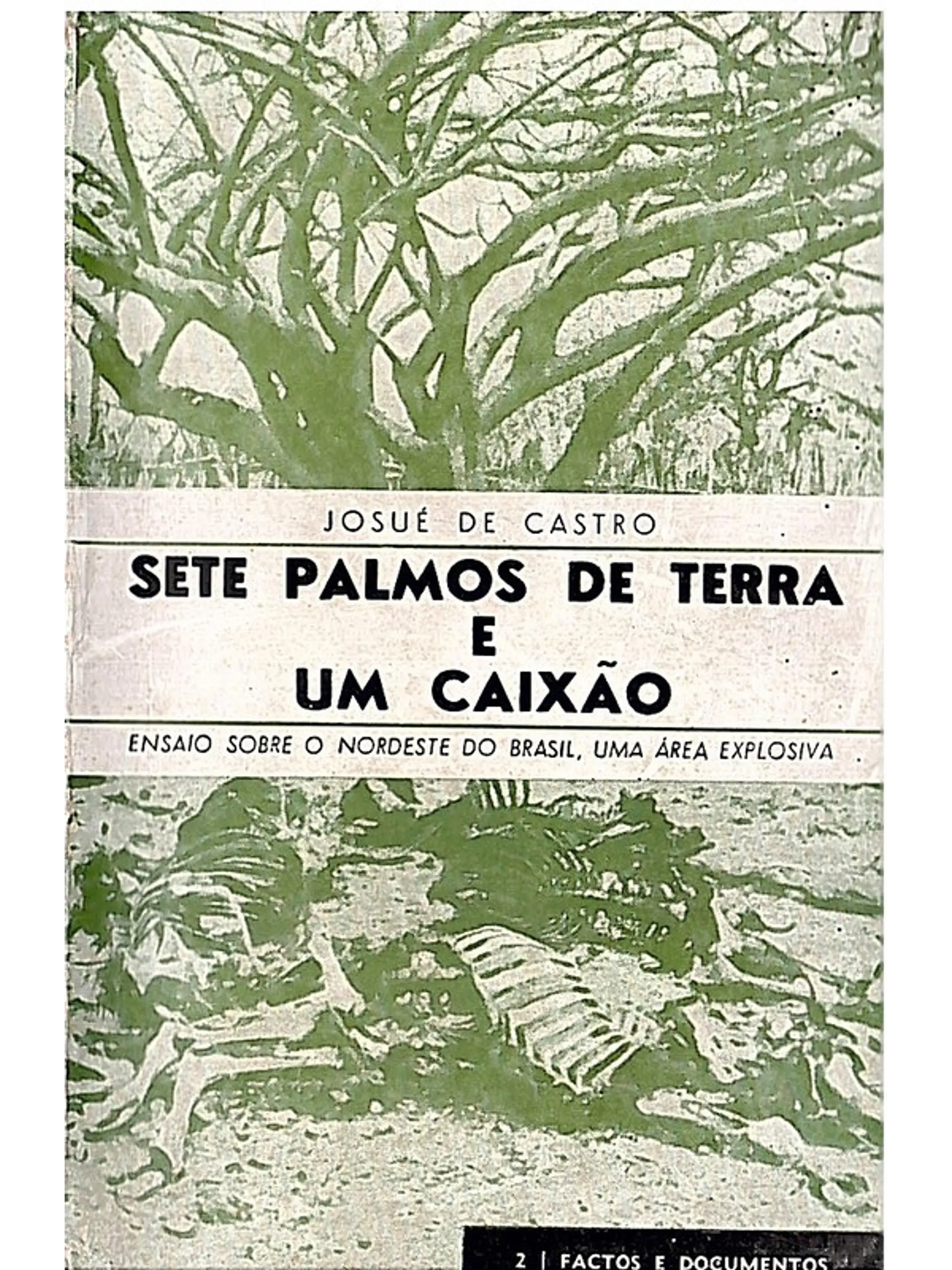 Sete palmos de terra e um caixão 1