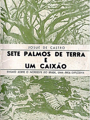 Sete palmos de terra e um caixão
