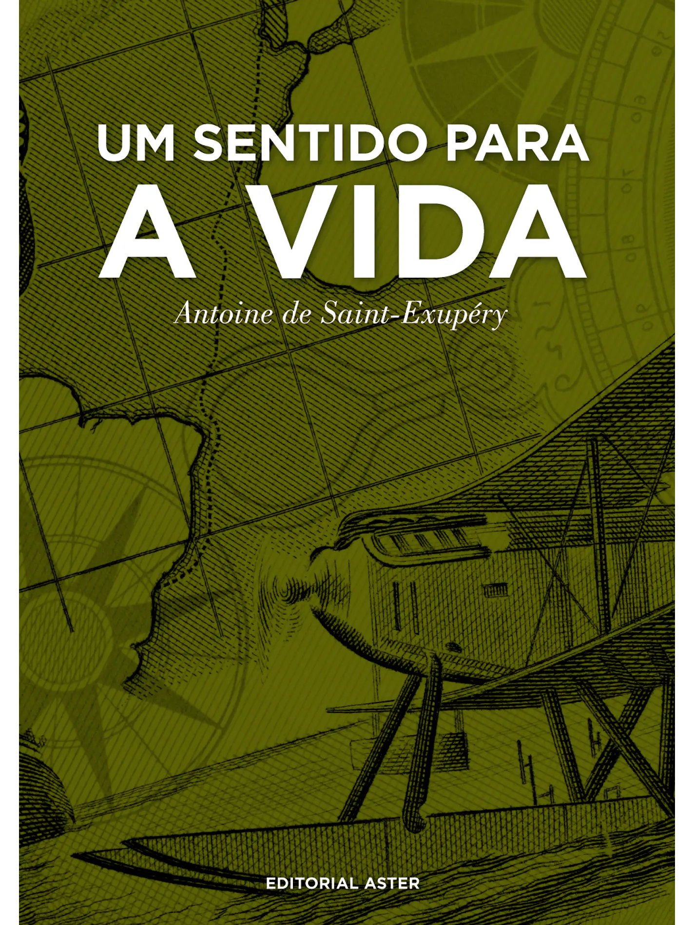 Um sentido para a vida  1