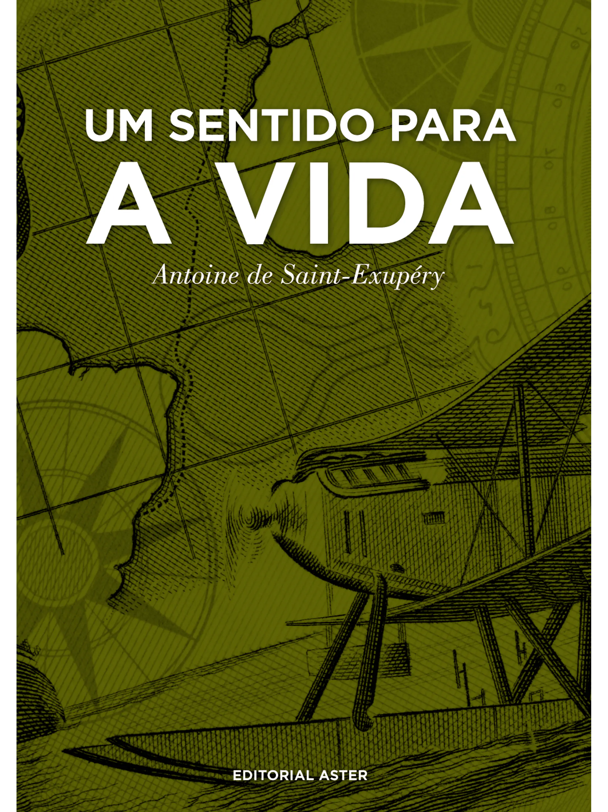 Um sentido para a vida  1