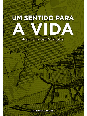 Um sentido para a vida 