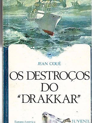 Os destroços do 