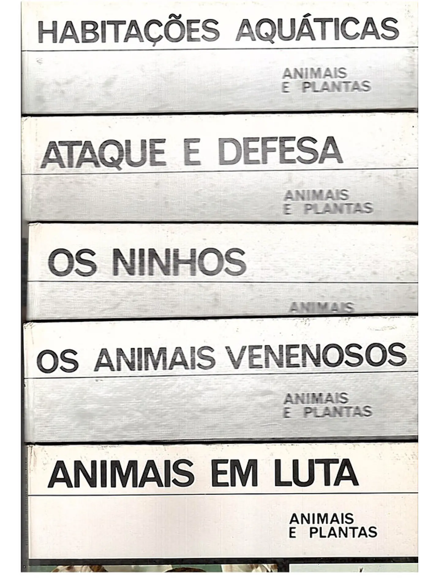 Colecção juvenil animais e plantas 1