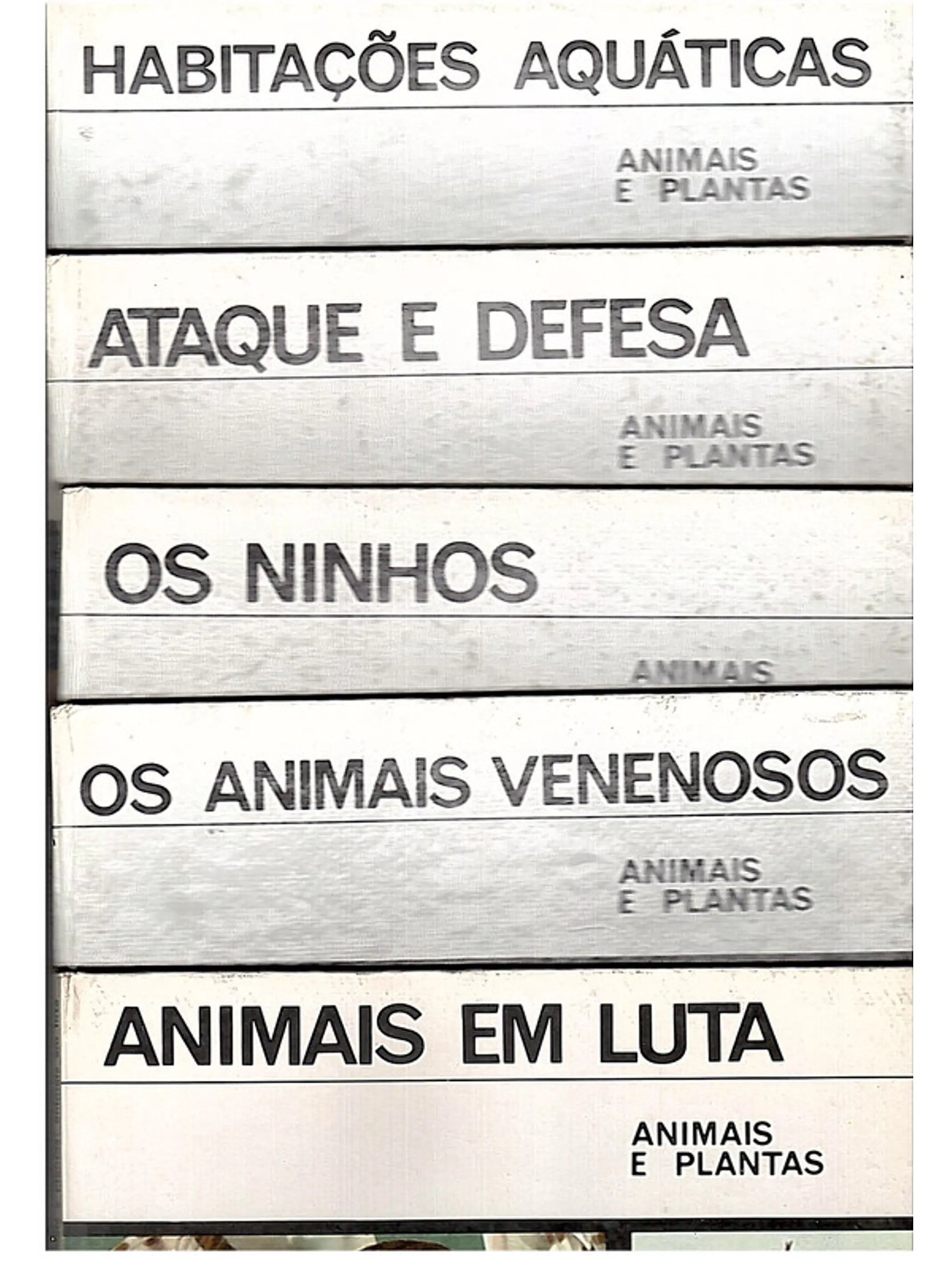 Colecção juvenil animais e plantas 1