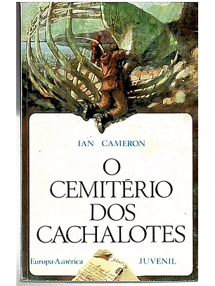 O cemitério dos cachalotes