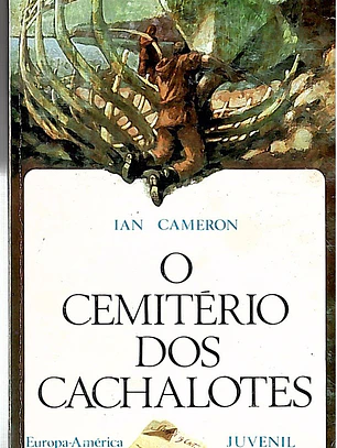 O cemitério dos cachalotes