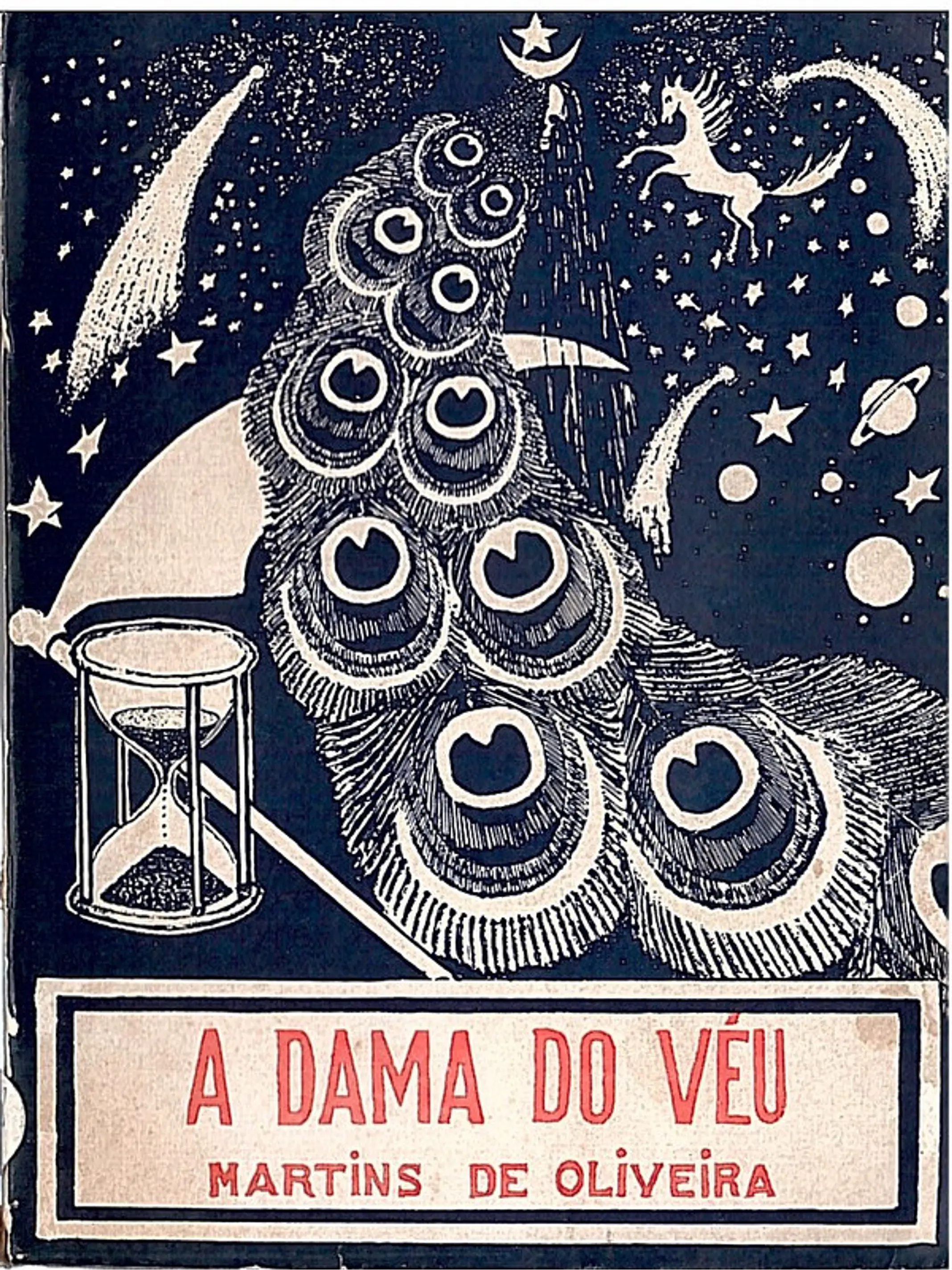 A dama do véu 1
