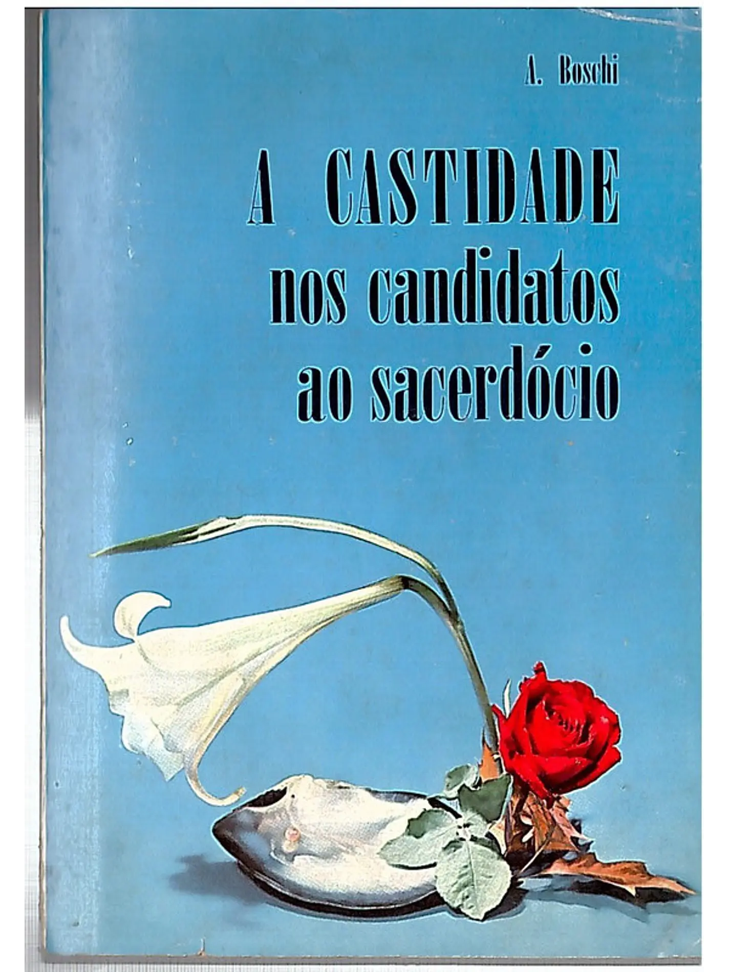 A castidade nos candidatos ao sacerdócio 1