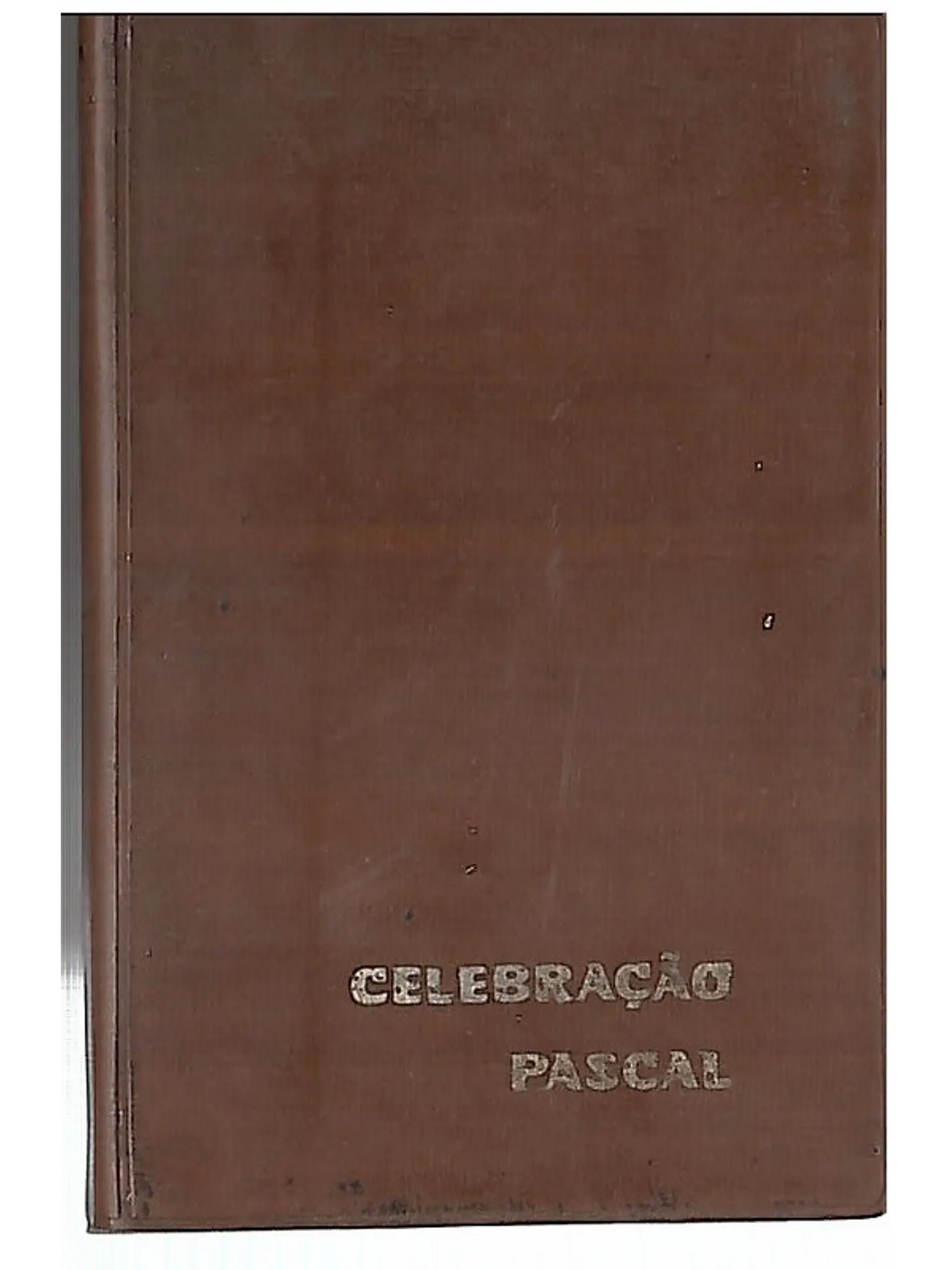 Celebração Pascal 1