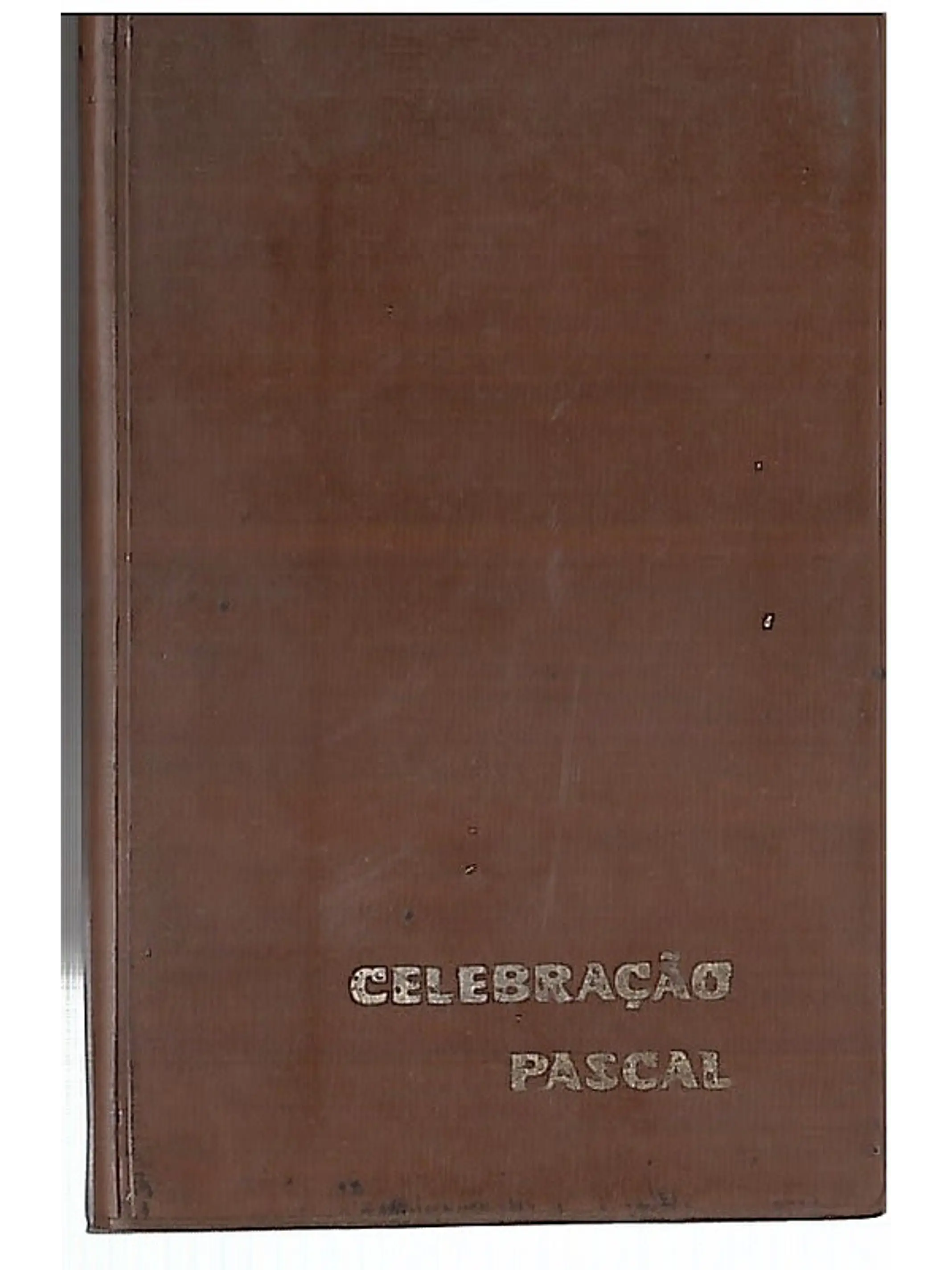Celebração Pascal 1
