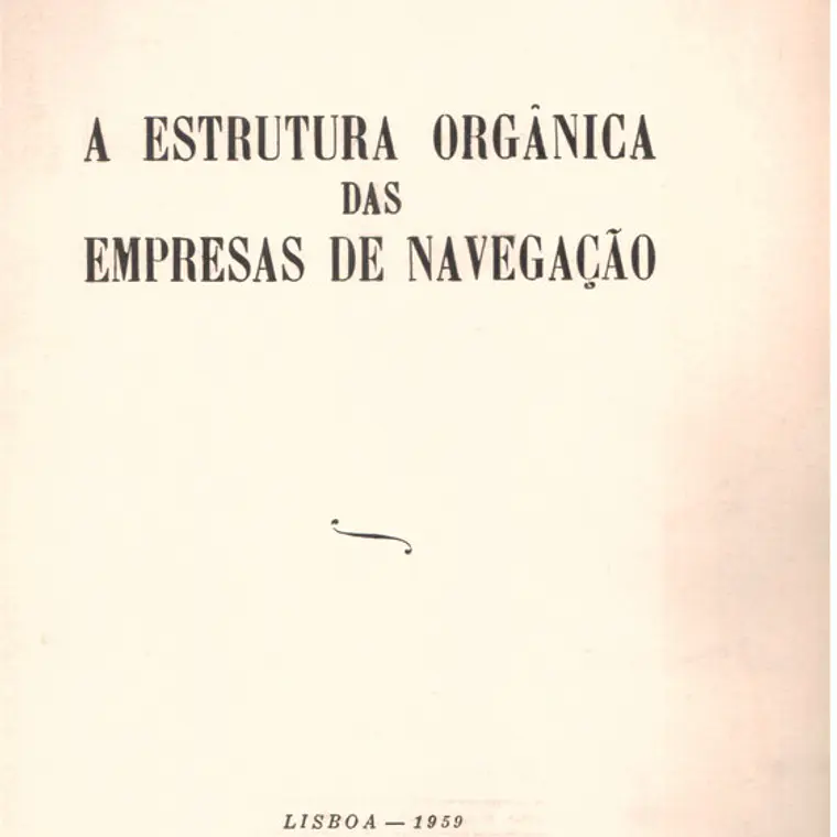 A estrutura orgânica das empresas de navegação 1