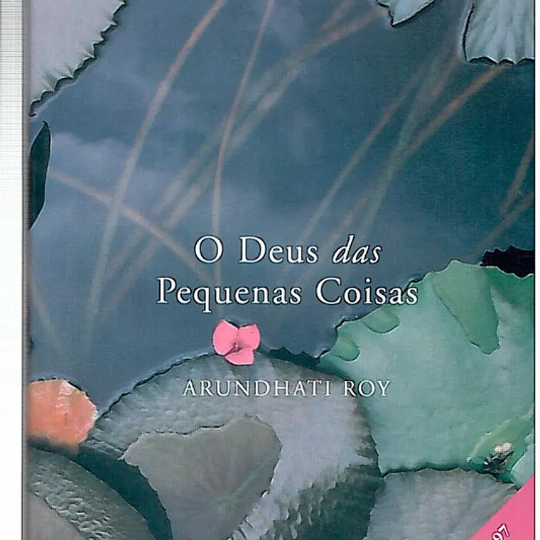 O Deus das pequenas coisas 1