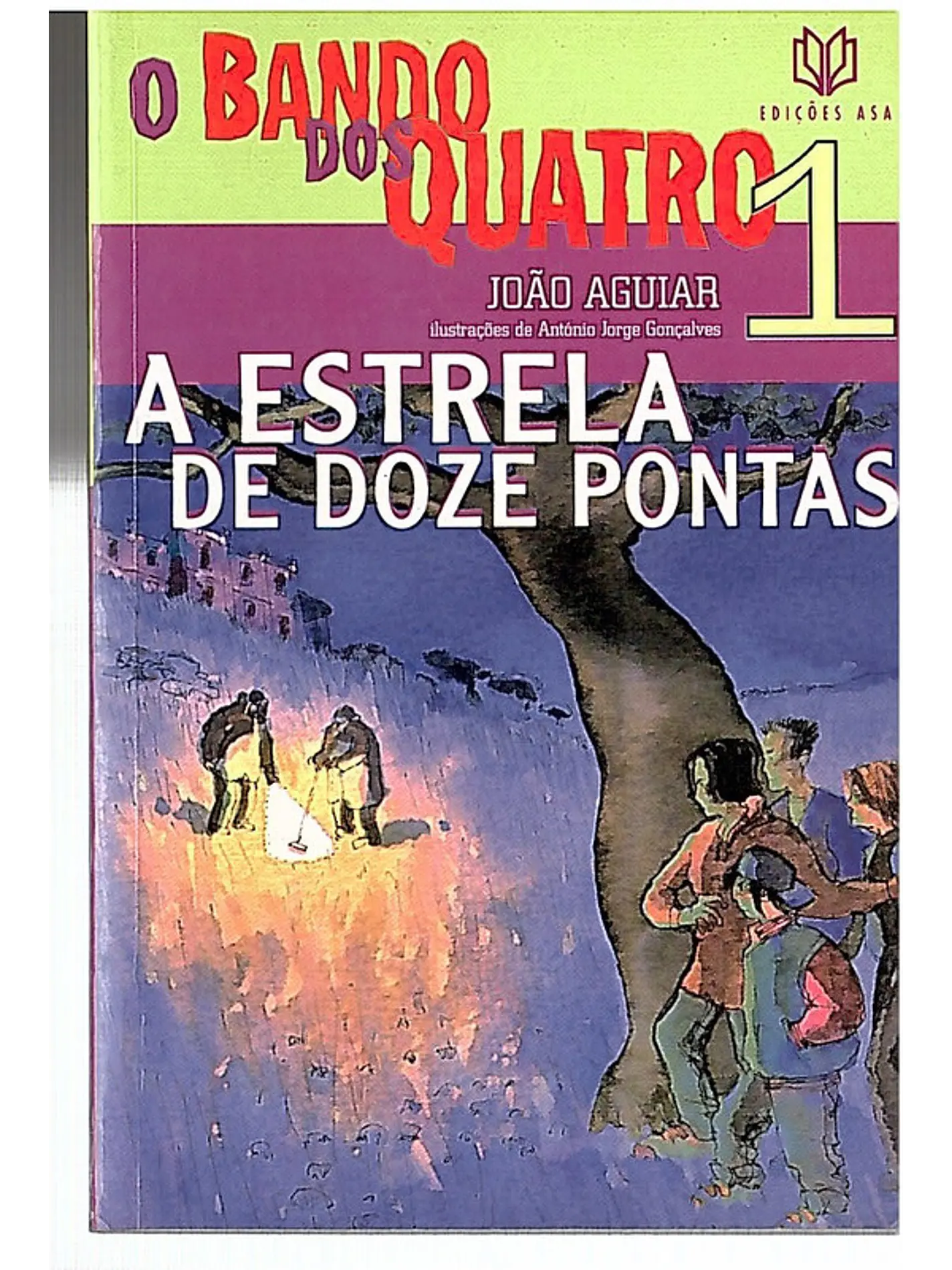A estrela de doze pontas 1