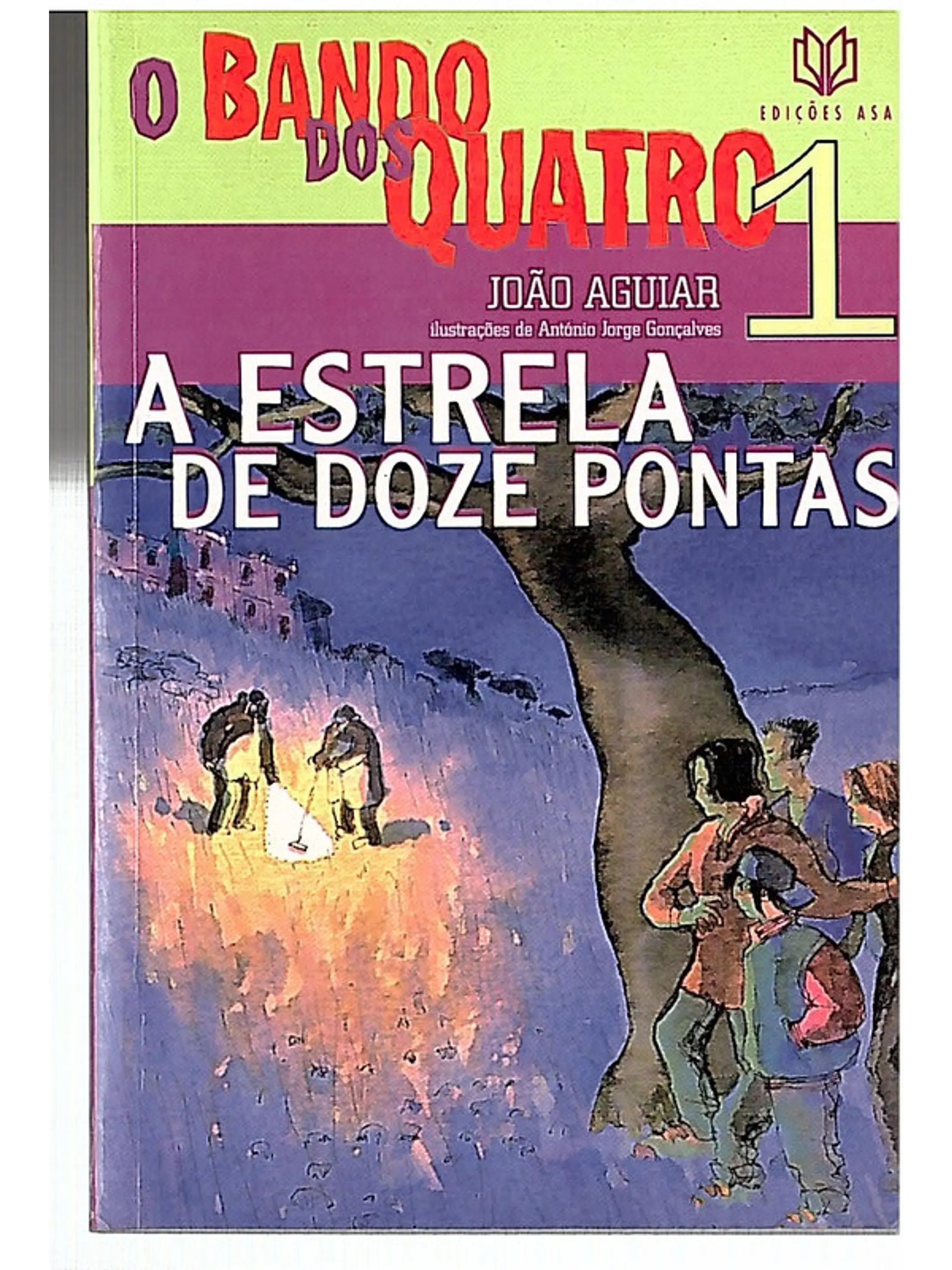 A estrela de doze pontas 1