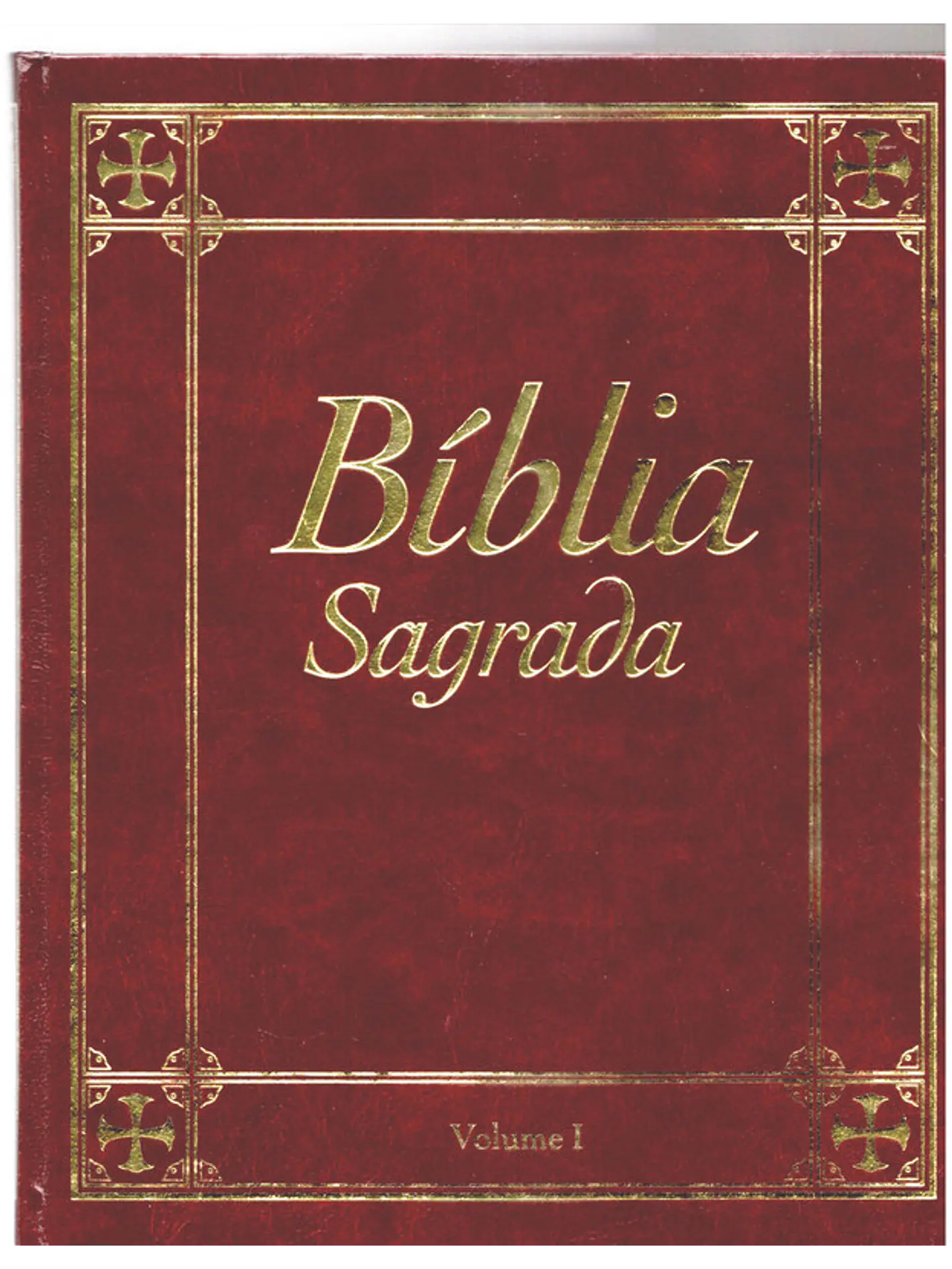 Bíblia sagrada Volume 1 1