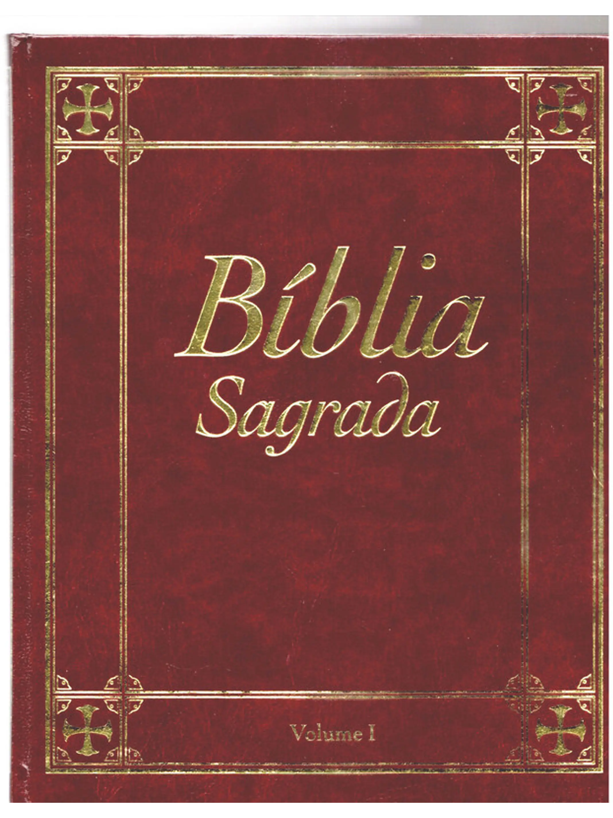 Bíblia sagrada Volume 1 1