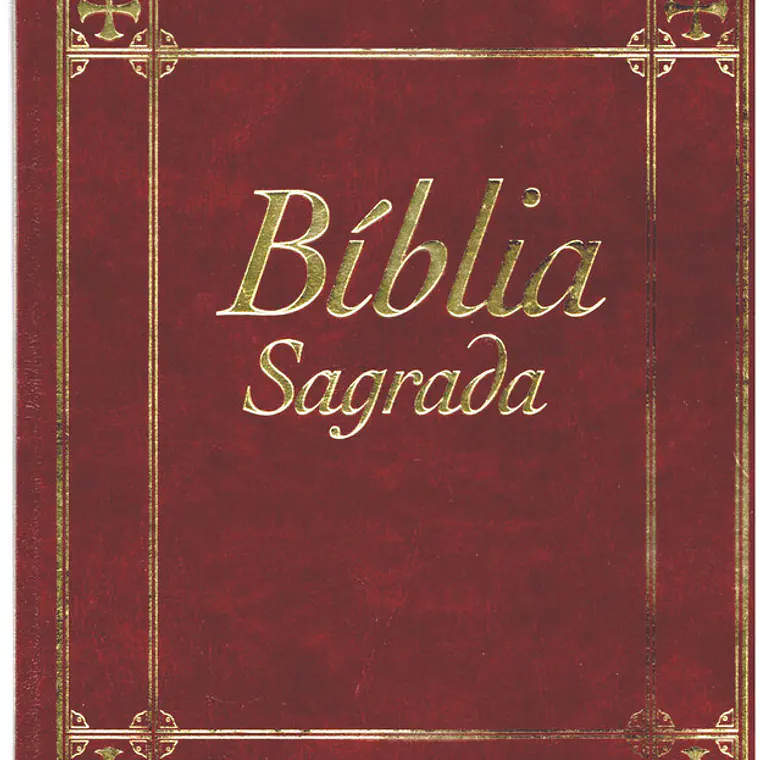 Bíblia sagrada Volume 1 1