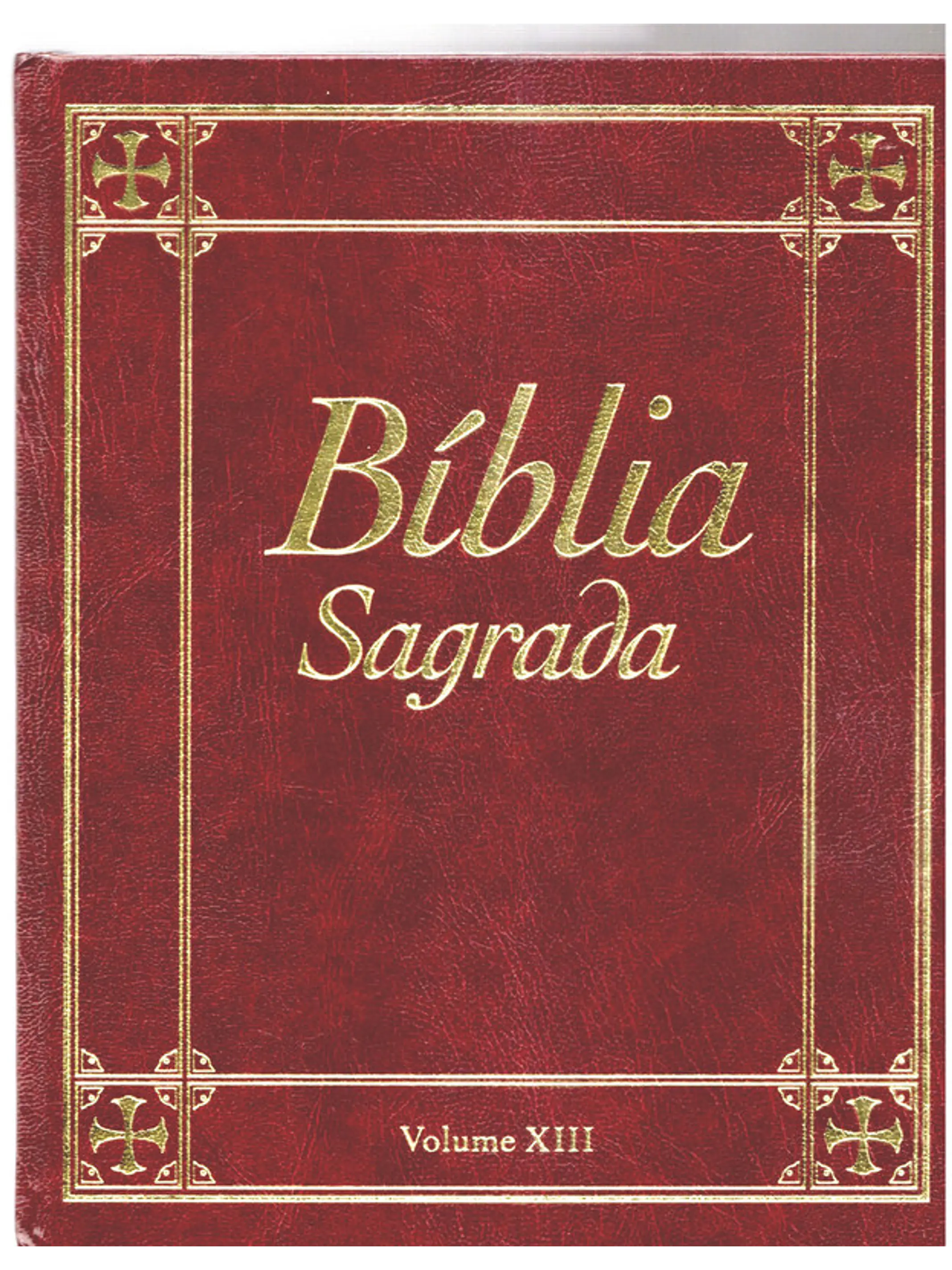 Bíblia sagrada Volume 13 1