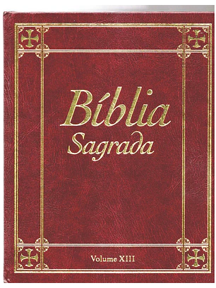 Bíblia sagrada Volume 13