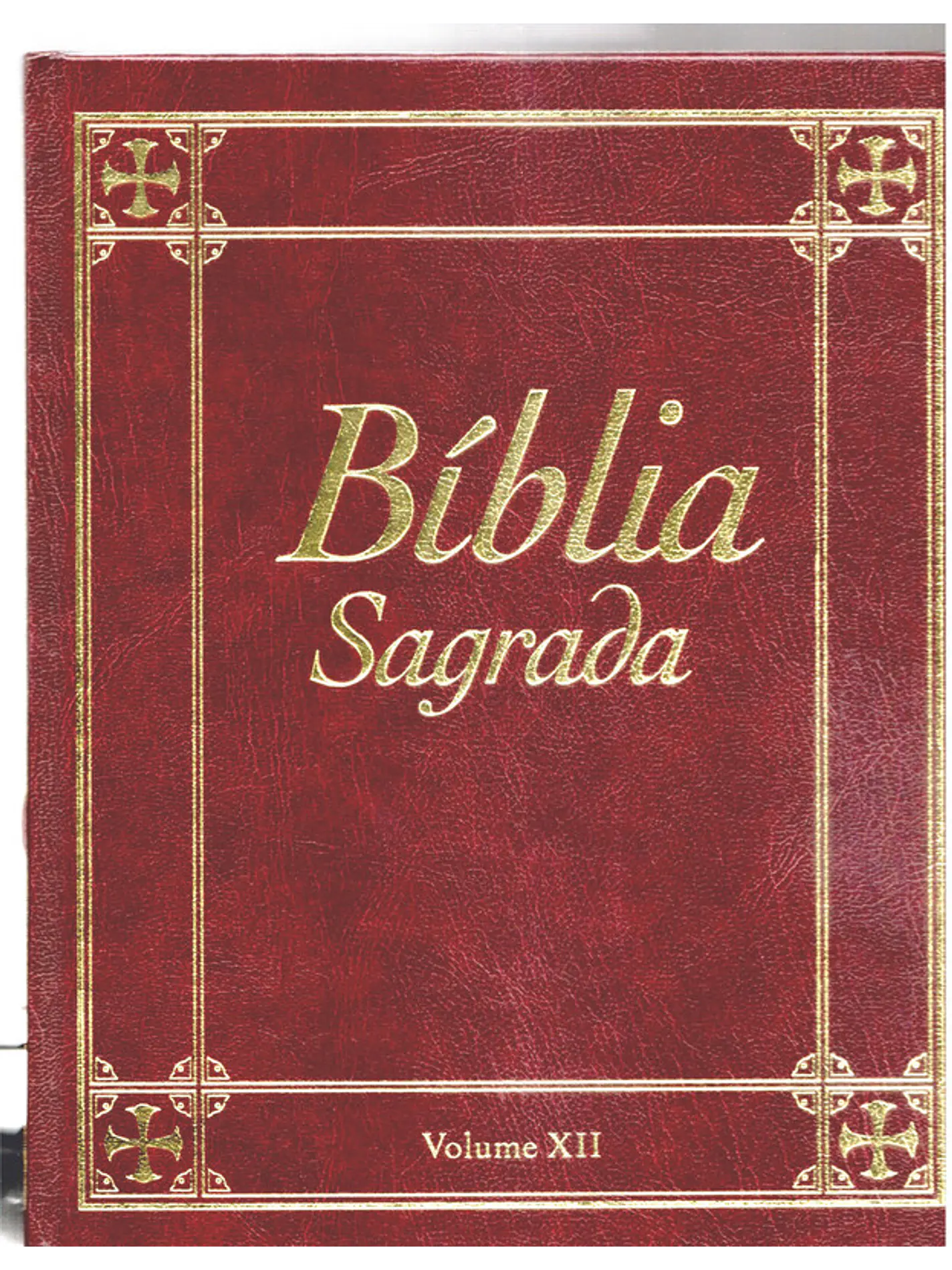 Bíblia sagrada Volume 12 1