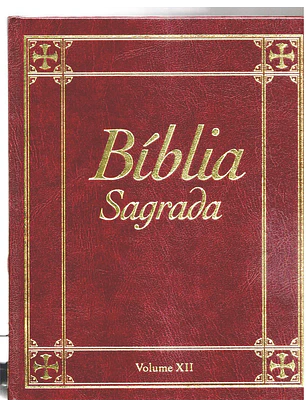 Bíblia sagrada Volume 12