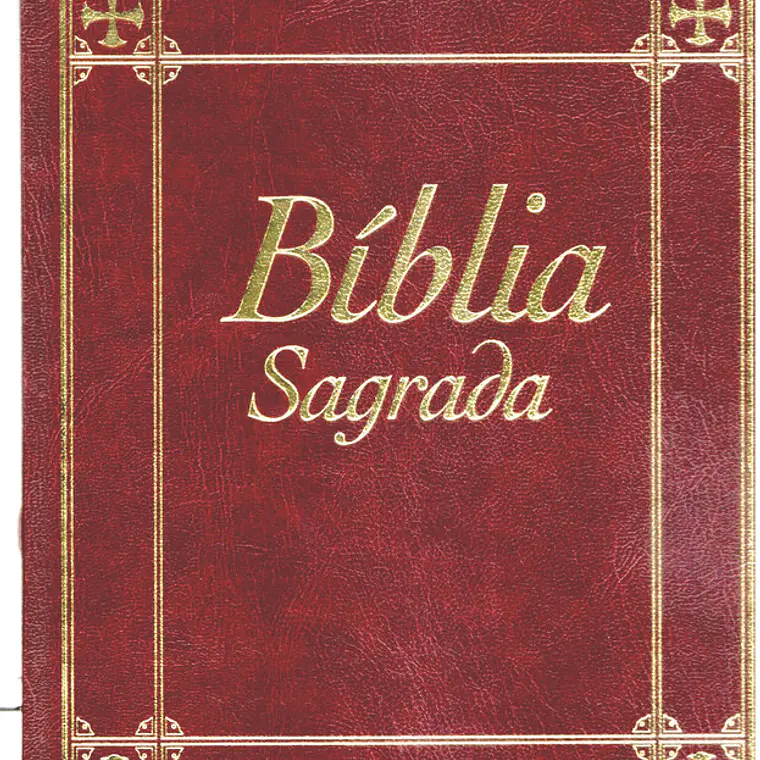 Bíblia sagrada Volume 12 1
