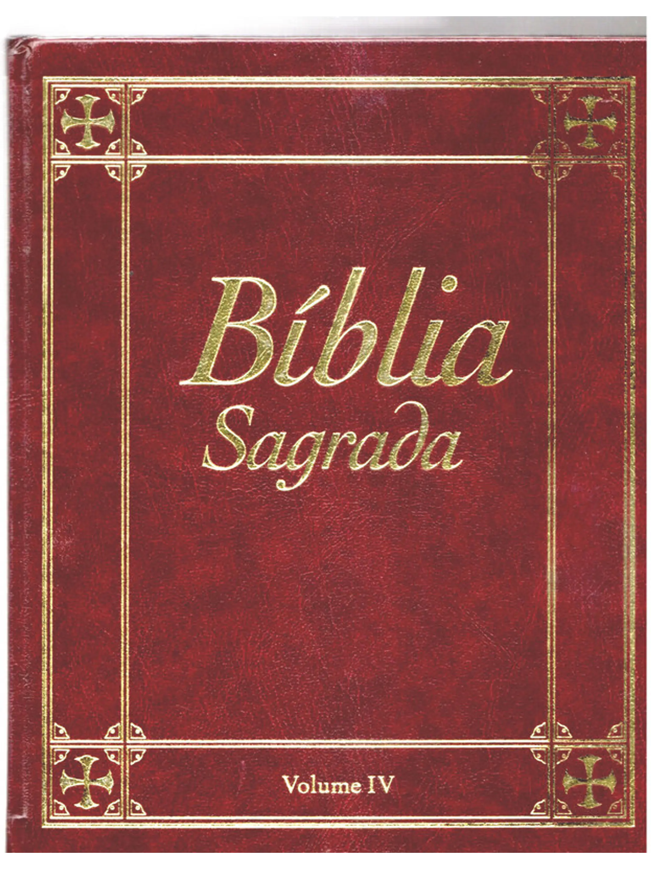 Bíblia sagrada Volume 4 1
