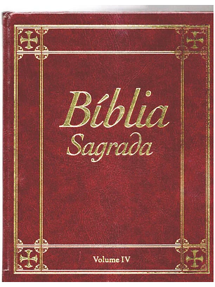 Bíblia sagrada Volume 4
