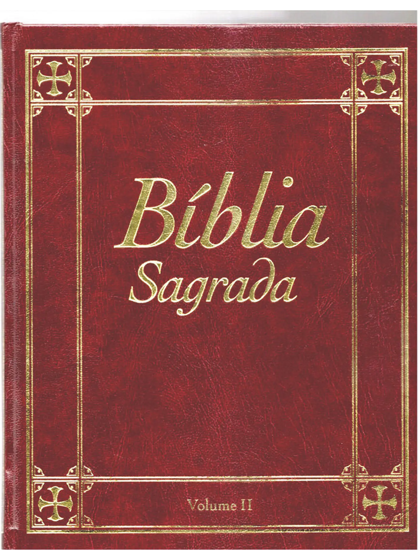 Bíblia sagrada Volume 2 1