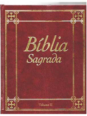 Bíblia sagrada Volume 2