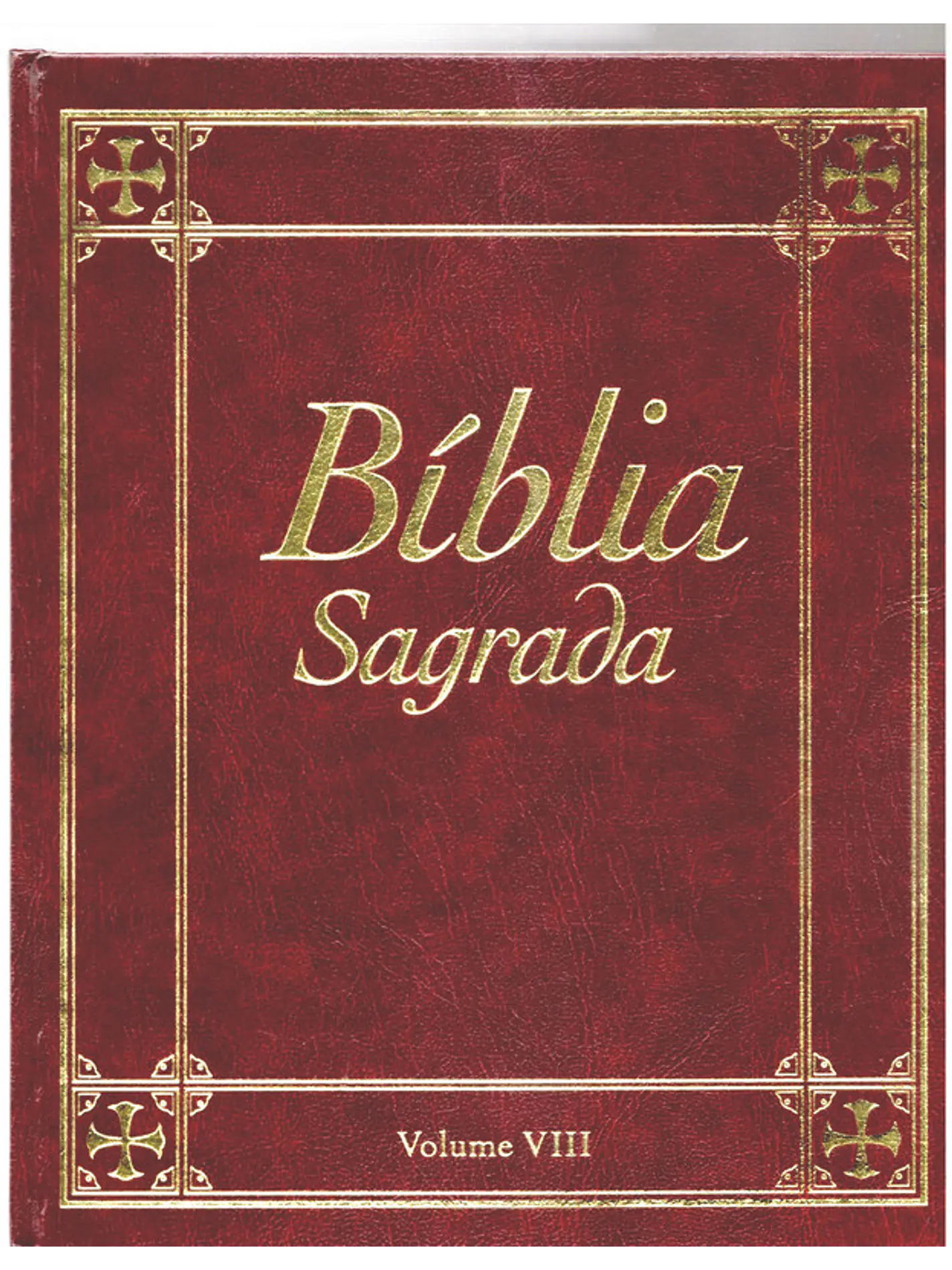 Bíblia sagrada Volume 8 1
