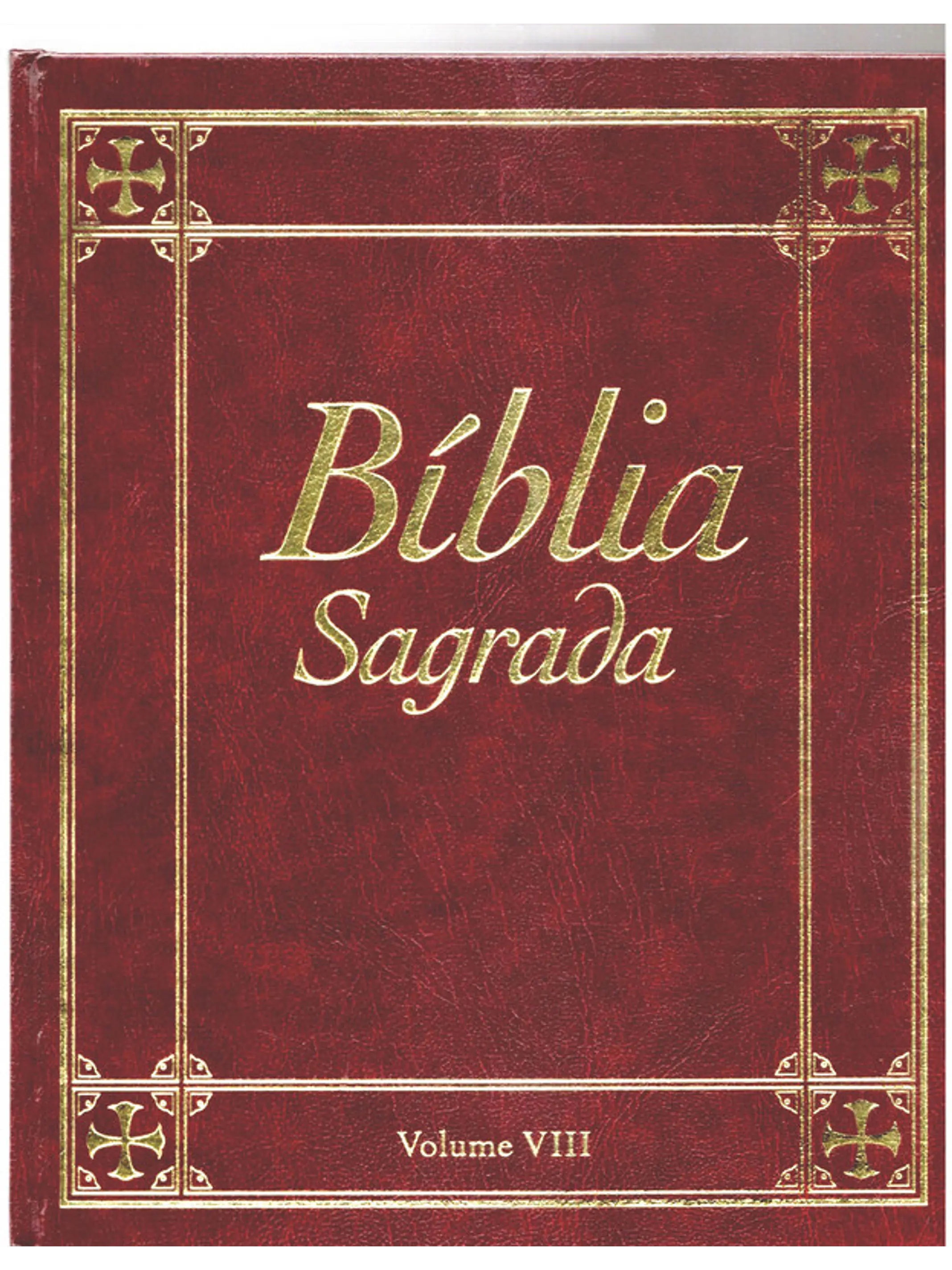 Bíblia sagrada Volume 8 1