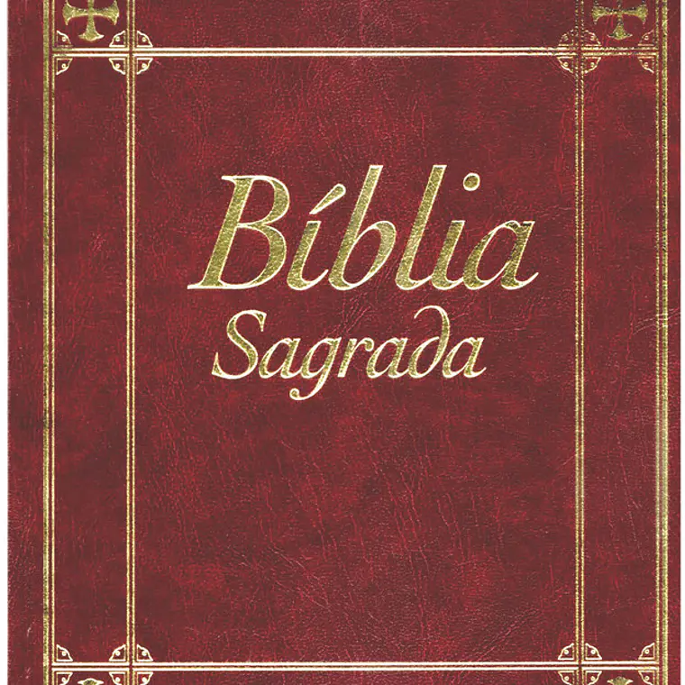 Bíblia sagrada Volume 8 1