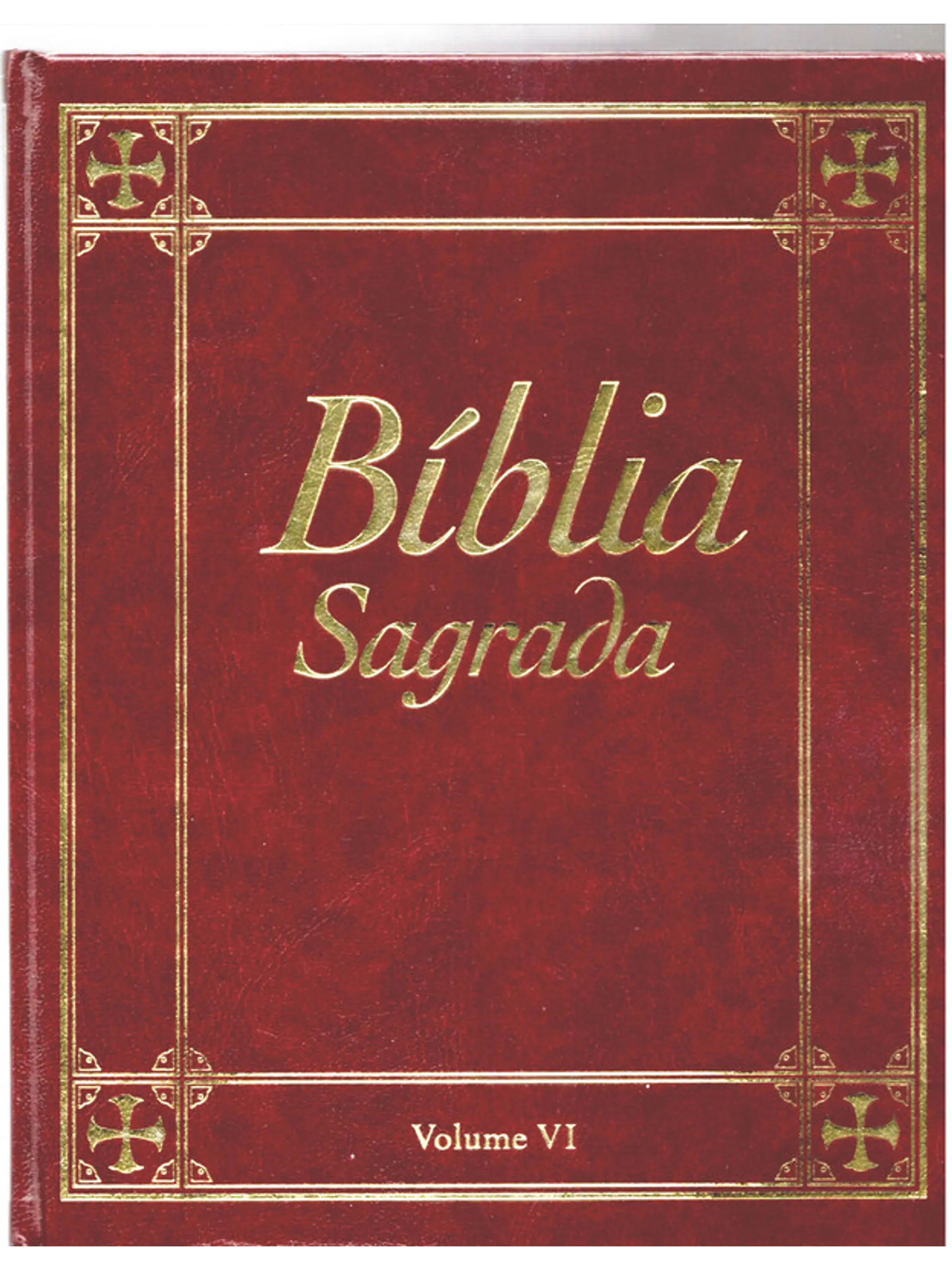Bíblia sagrada Volume 6 1