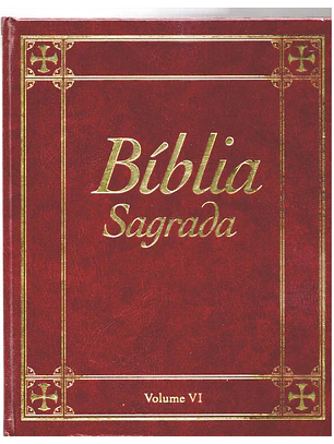 Bíblia sagrada Volume 6