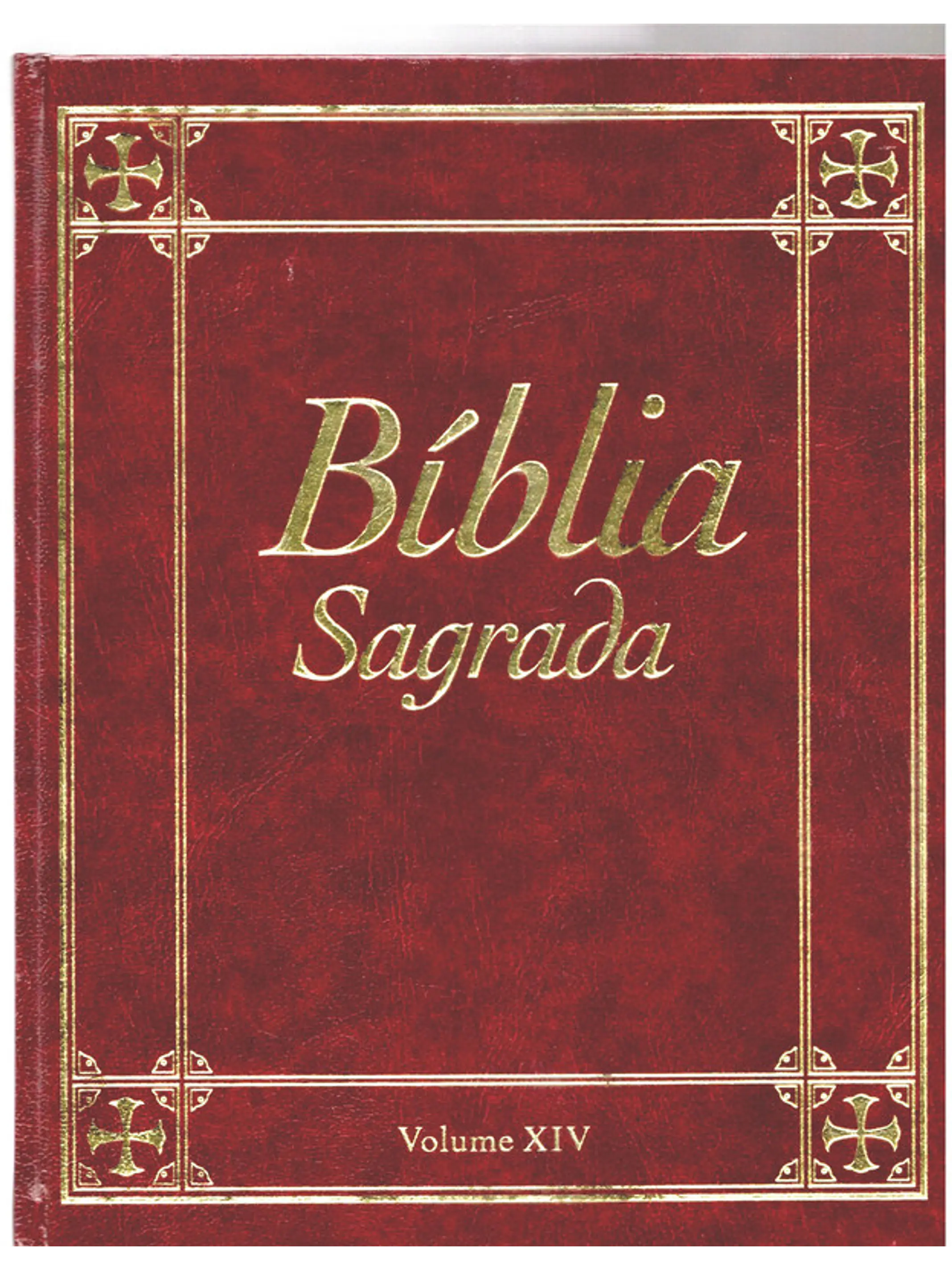 Bíblia sagrada Volume 14 1