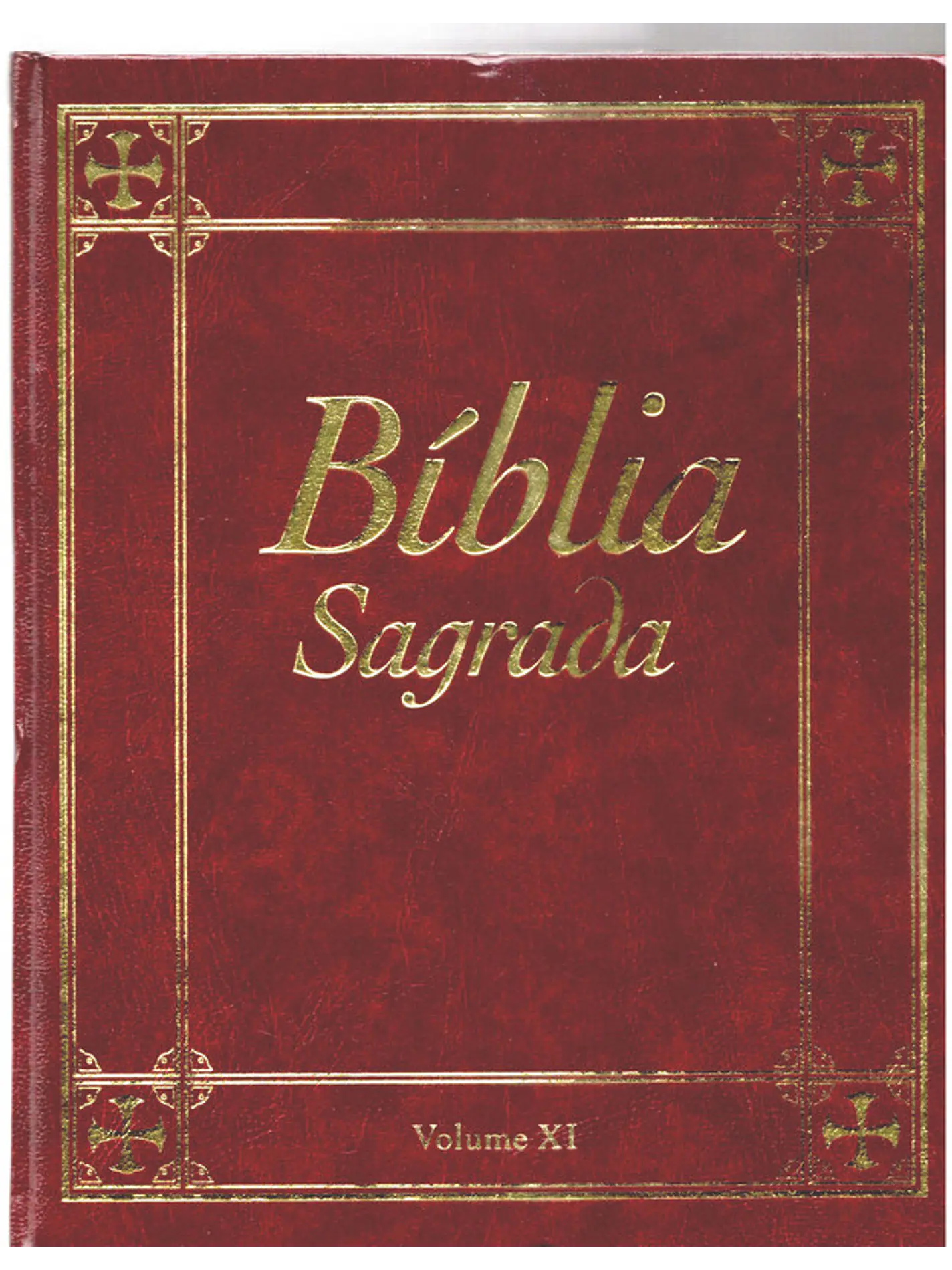Bíblia sagrada Volume 11 1