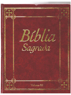 Bíblia sagrada Volume 11