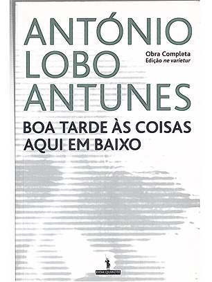 Boa tarde às coisas aqui em baixo