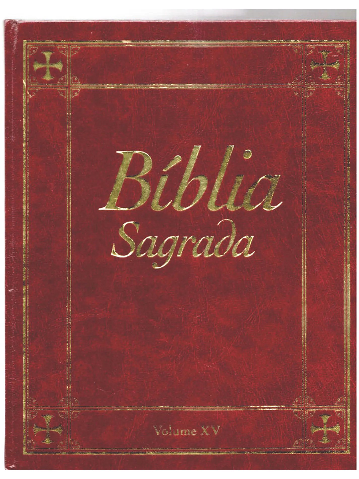 Bíblia sagrada Volume 15 1