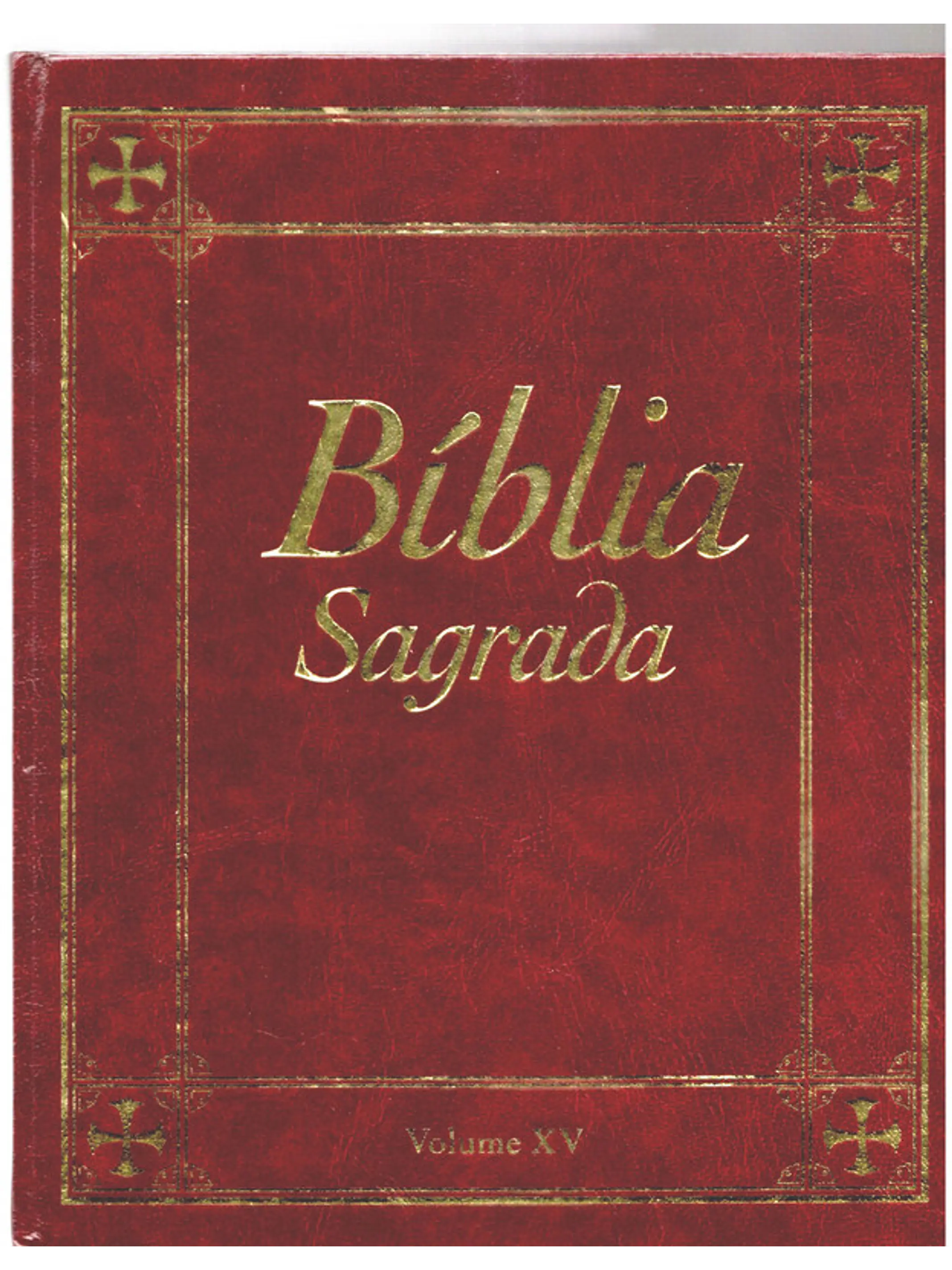 Bíblia sagrada Volume 15 1