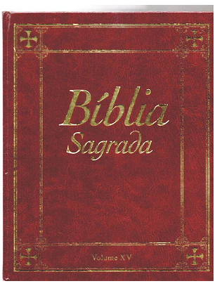 Bíblia sagrada Volume 15
