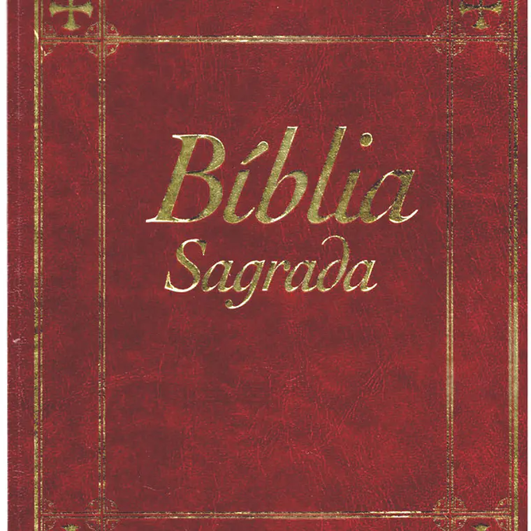 Bíblia sagrada Volume 15 1