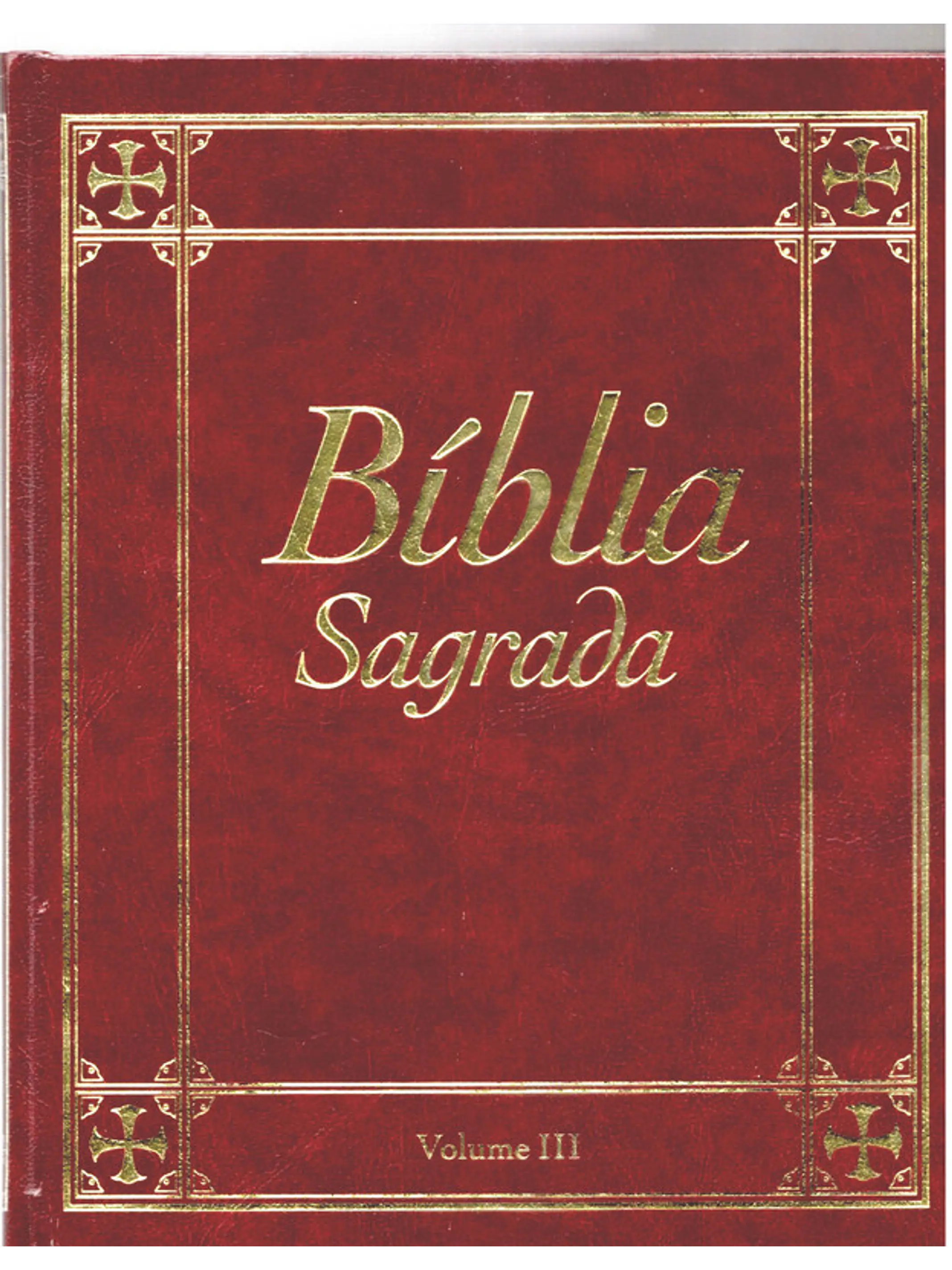 Bíblia sagrada Volume 3 1