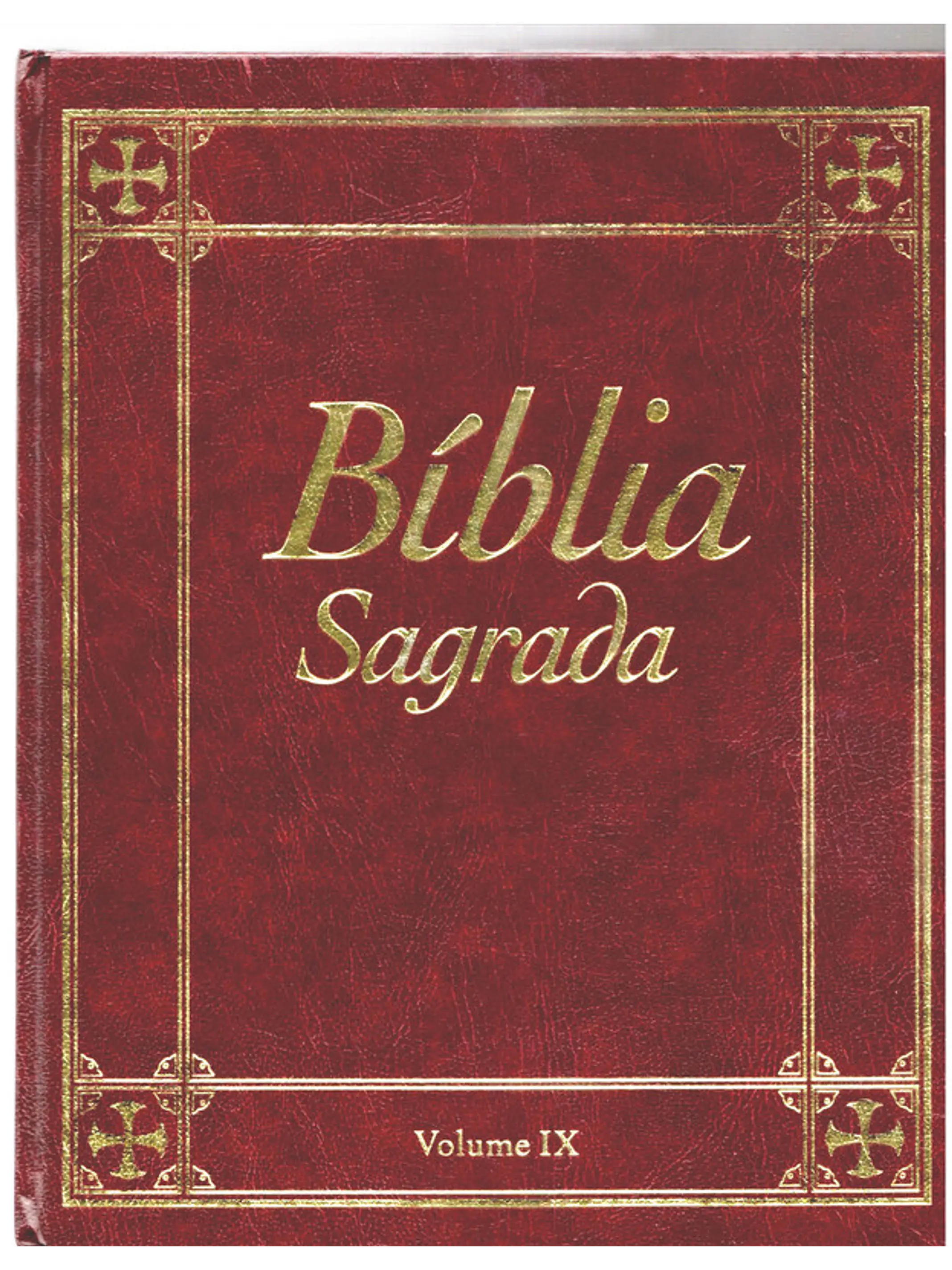 Bíblia sagrada Volume 9 1
