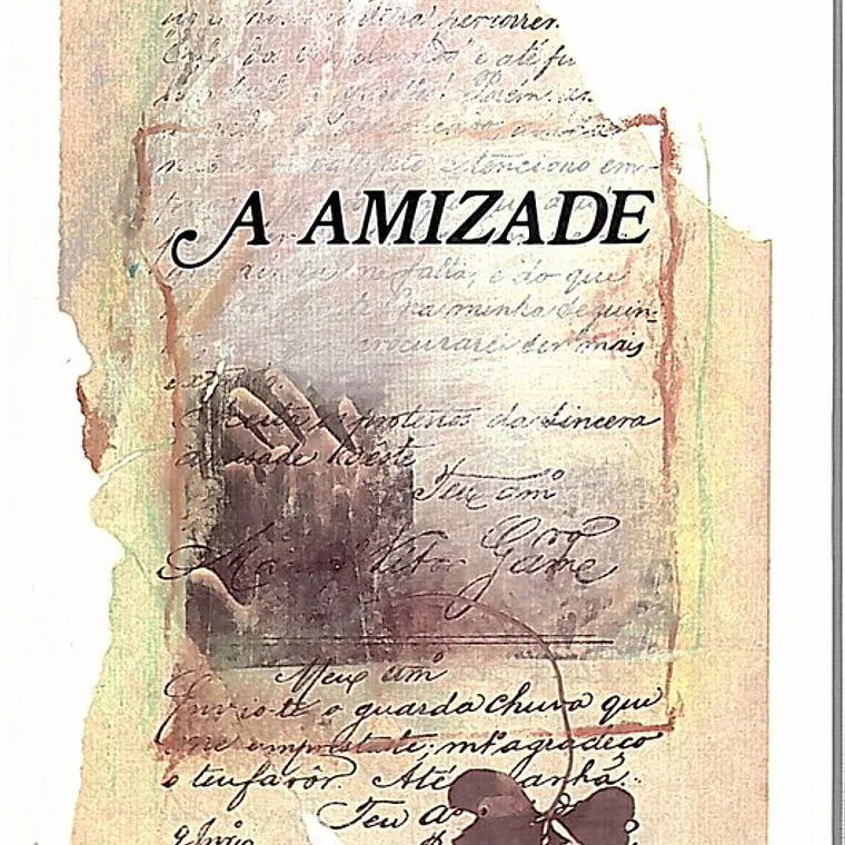 A amizade 1