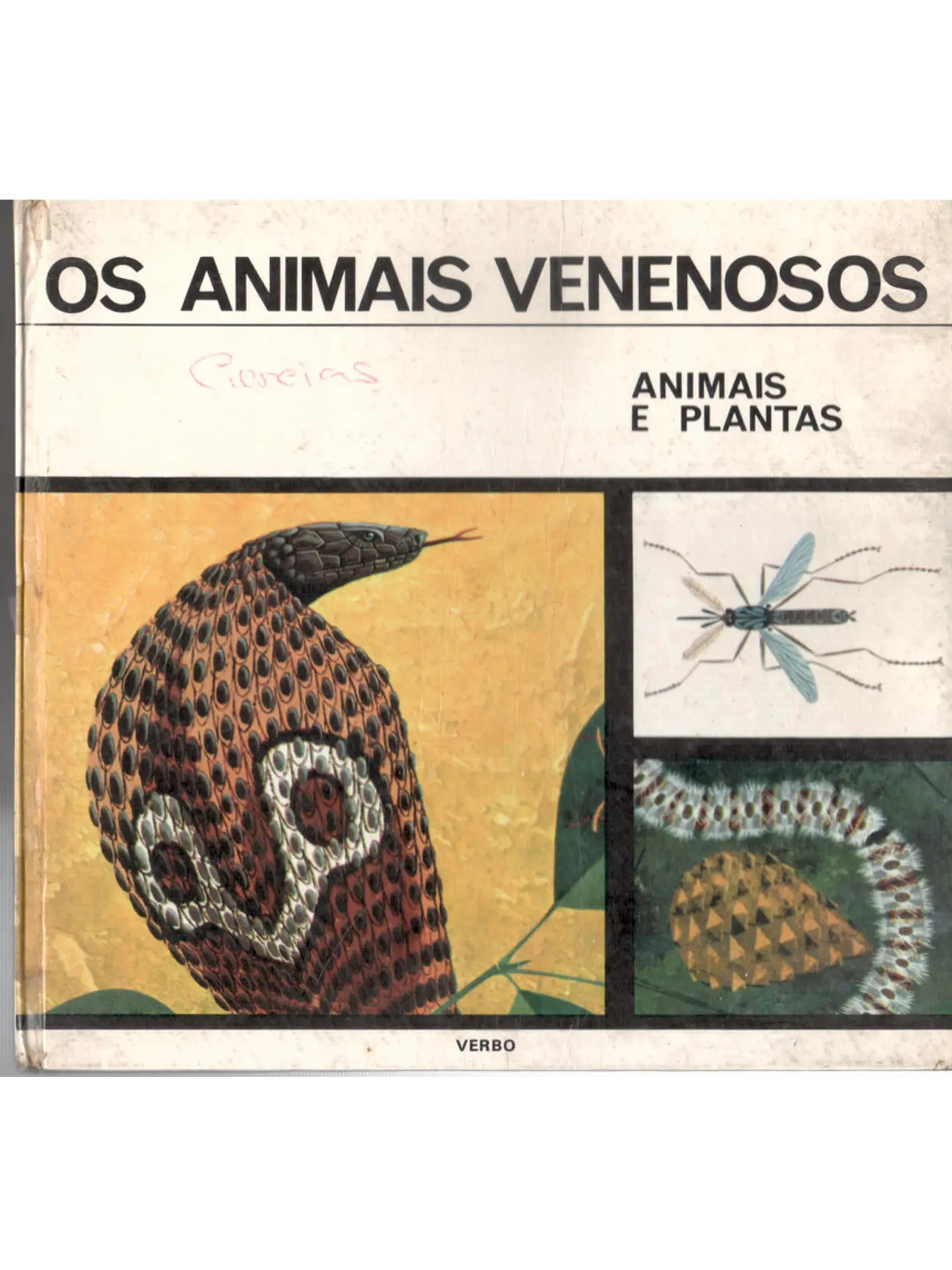 Os animais venenosos, animais e plantas 1