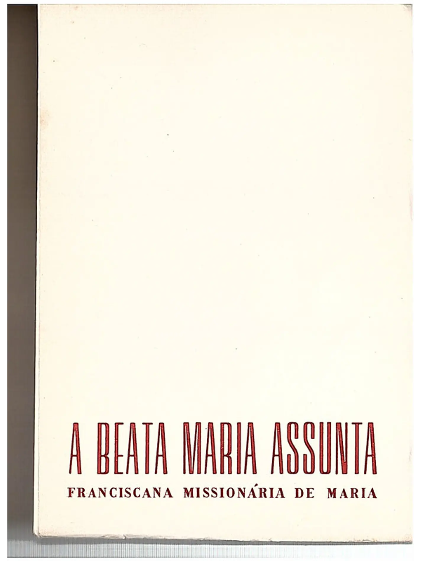 O caminho de Assunta, franciscana missionária de Maria 1
