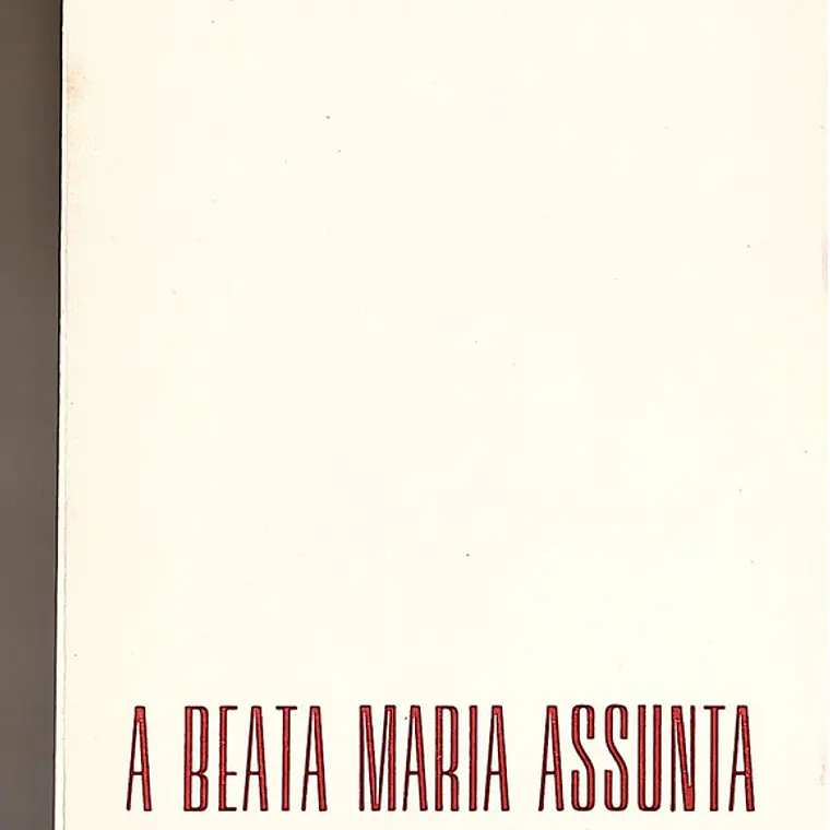 O caminho de Assunta, franciscana missionária de Maria 1