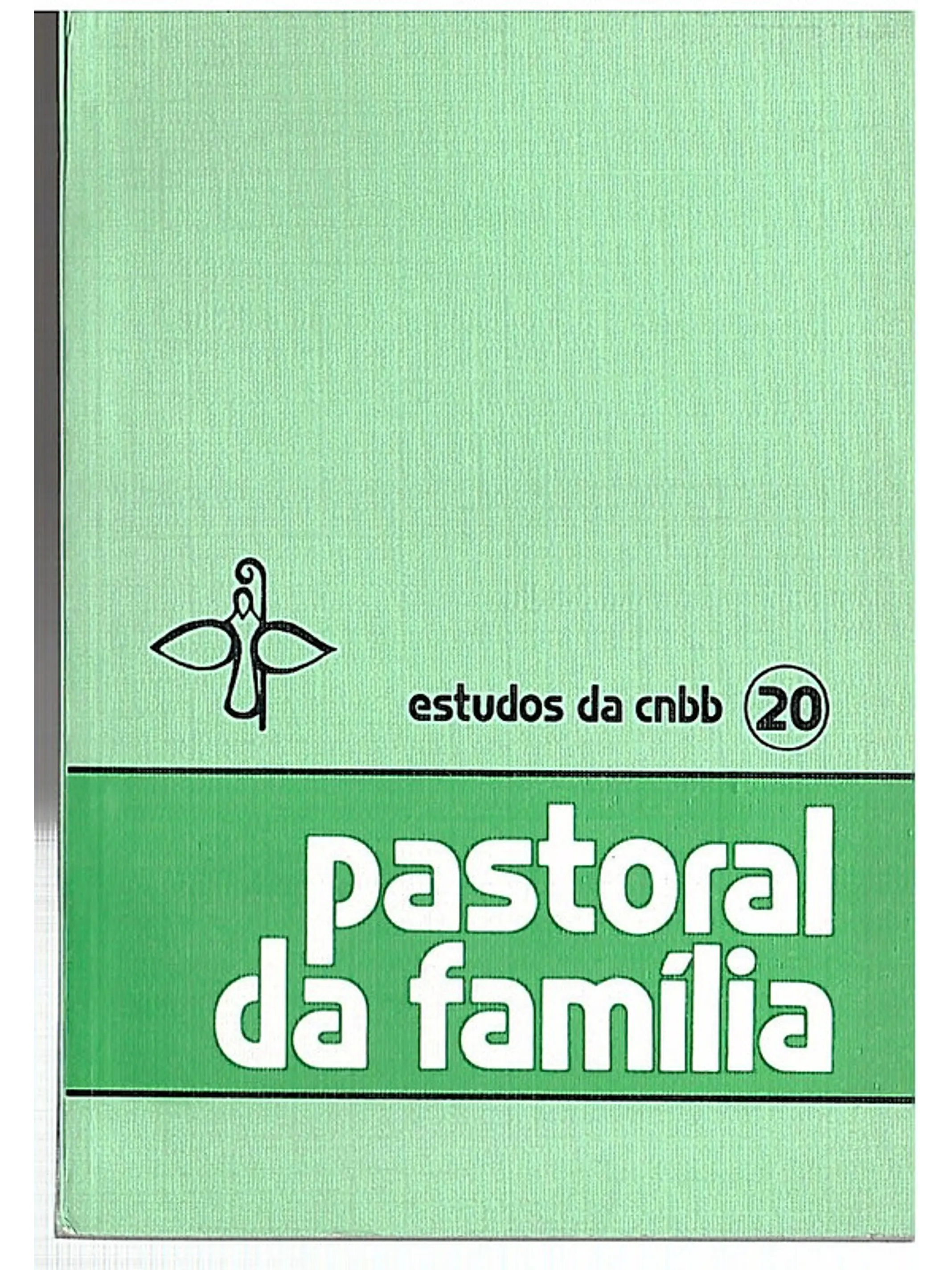 Pastoral da familia 1